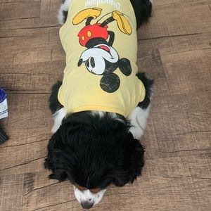 Meet your Posher, Jolene